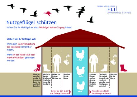 Vorschaubild für PDF-Dokument