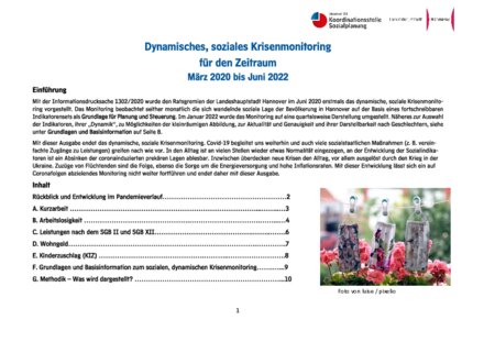 Vorschaubild für PDF-Dokument