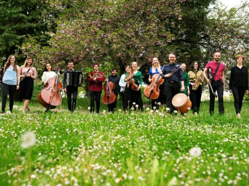 Musiker auf einer Blumenwiese