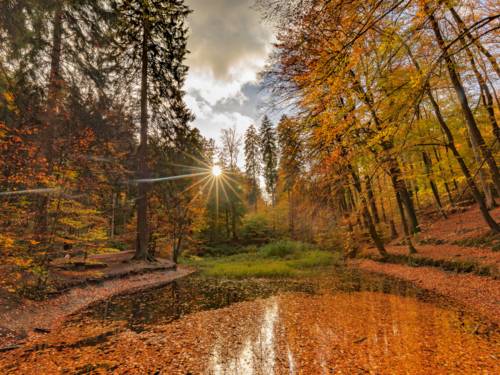 Herbst im Deister