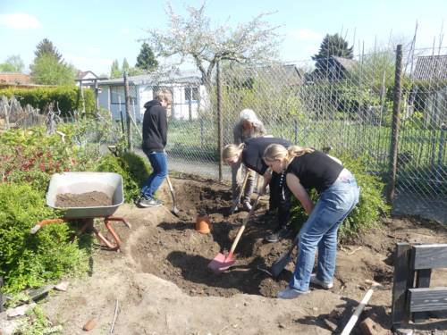 Vier Personen beim Buddeln in einem Garten.