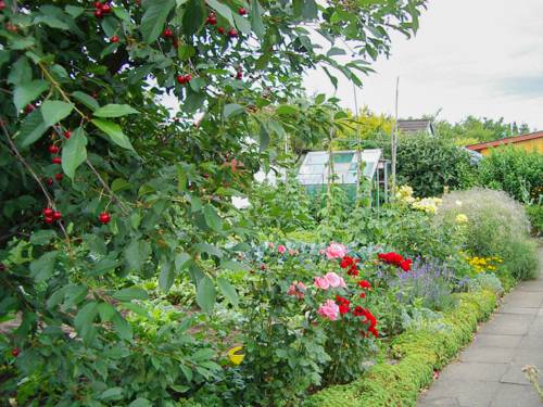 Blick in einen Garten.