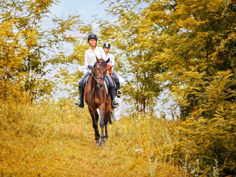 Herbst-Reittour in der Wedemark