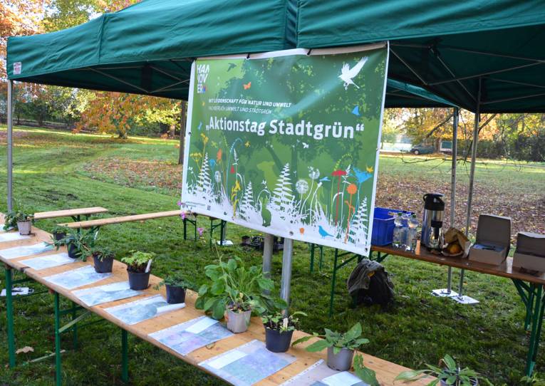 Ein Stand mit Pflanzen in einem Park.